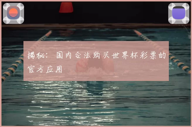 揭秘：国内合法购买世界杯彩票的官方应用