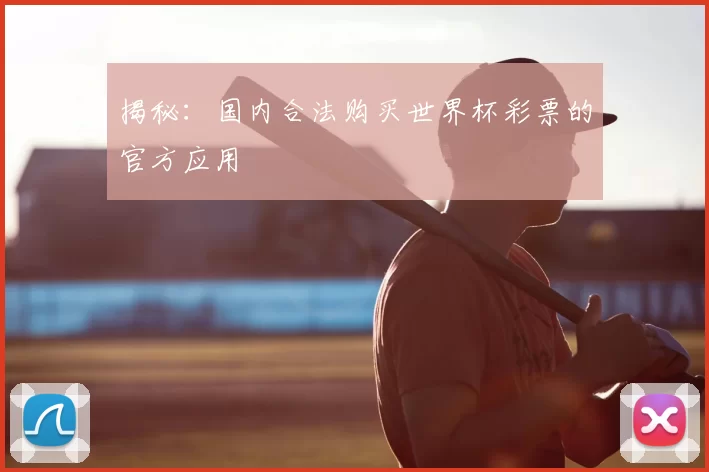 揭秘：国内合法购买世界杯彩票的官方应用