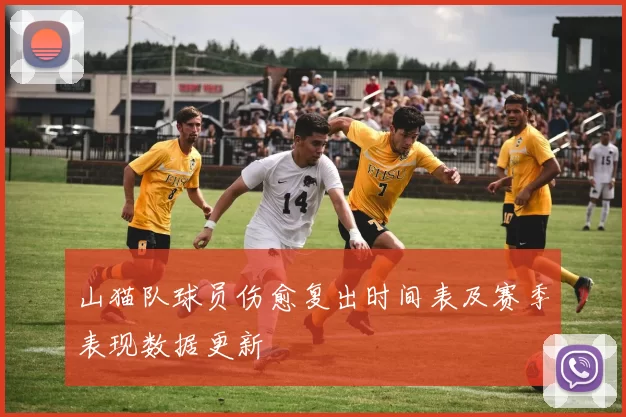 山猫队球员伤愈复出时间表及赛季表现数据更新