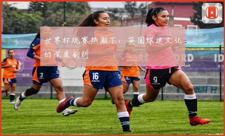 世界杯观赛热潮下,英国球迷文化的深度剖析