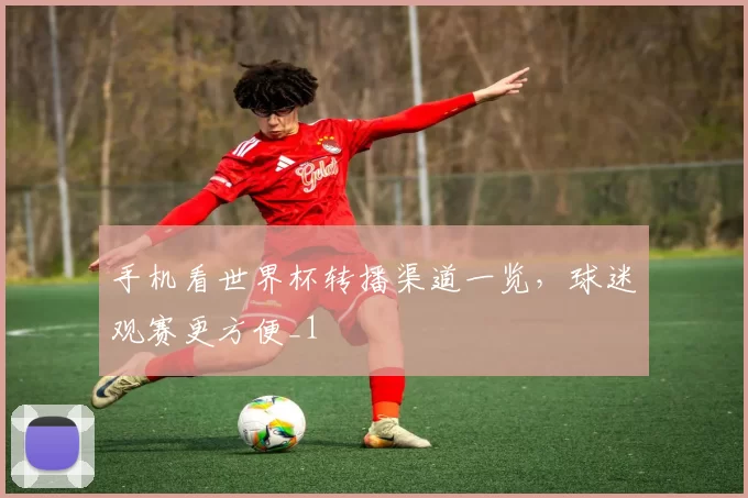手机看世界杯转播渠道一览,球迷观赛更方便_1