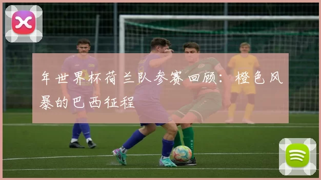 年世界杯荷兰队参赛回顾：橙色风暴的巴西征程