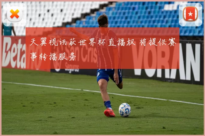 天翼视讯获世界杯直播权 将提供赛事转播服务