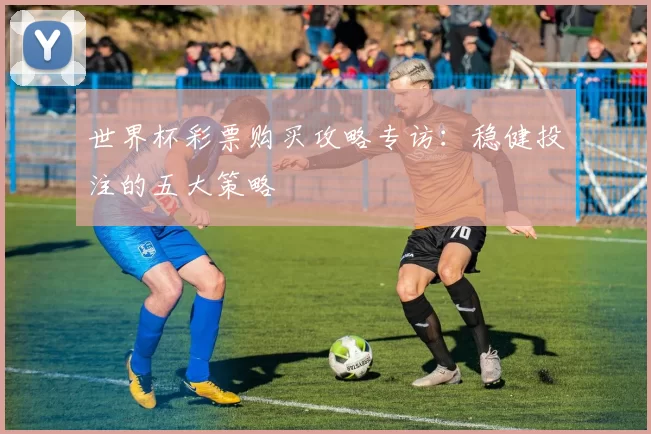 世界杯彩票购买攻略专访：稳健投注的五大策略