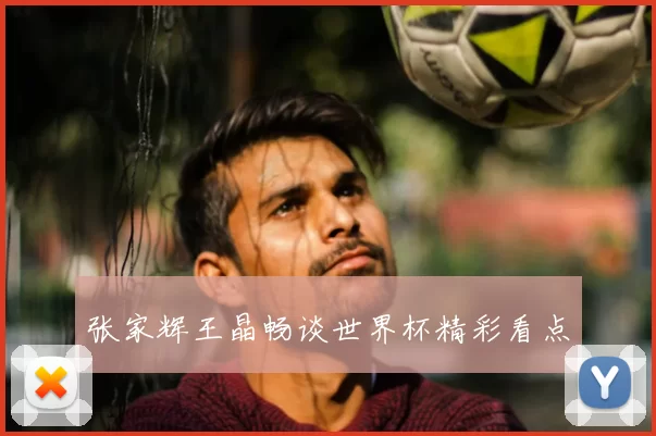 张家辉王晶畅谈世界杯精彩看点