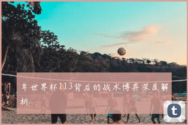 年世界杯113背后的战术博弈深度解析